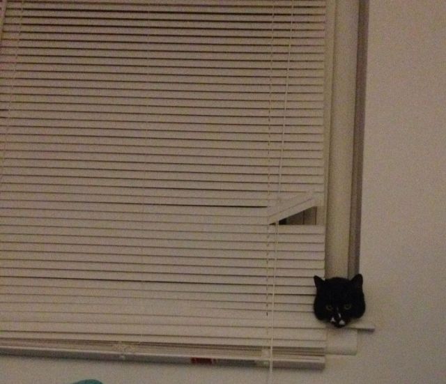 morning picdump 56 pics 28.html - 56 HD Photos | Premium Gallery 2014