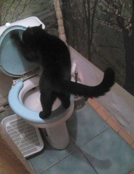 morning picdump 56 pics 28.html - 56 HD Photos | Premium Gallery 2014