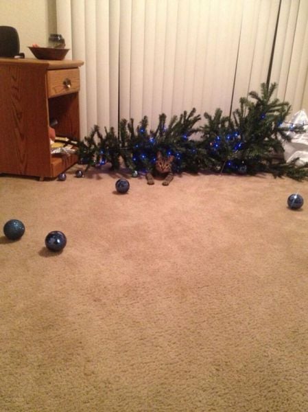 morning picdump 56 pics 28.html - 56 HD Photos | Premium Gallery 2014