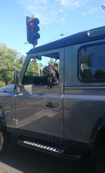 morning picdump 56 pics 28.html - 56 HD Photos | Premium Gallery 2014