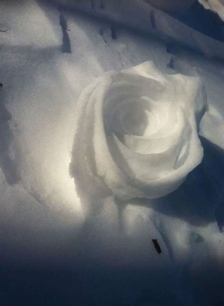 Pictures That Speak a Thousand Words