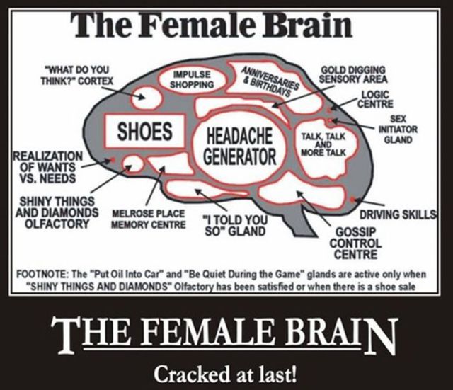 The Quirky and Confusing World of Women