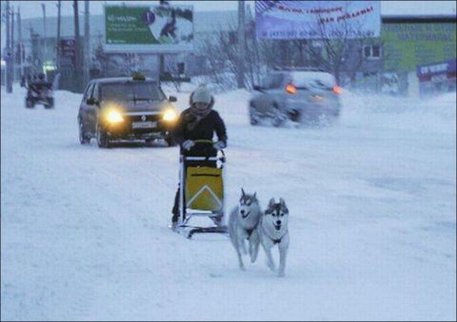 morning picdump 58 pics 2.html - 58 HD Photos | Premium Gallery 2014