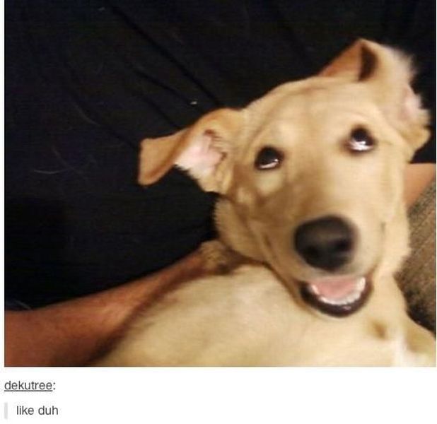 morning picdump 58 pics 2.html - 58 HD Photos | Premium Gallery 2014