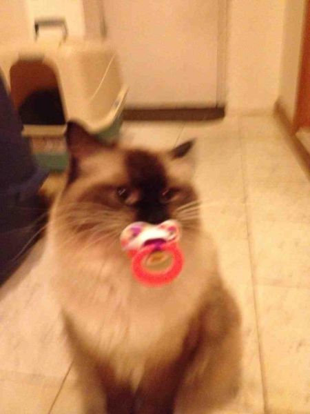 morning picdump 58 pics 2.html - 58 HD Photos | Premium Gallery 2014