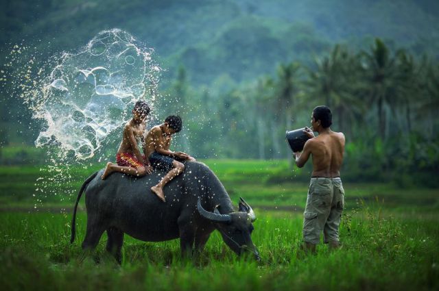 morning picdump 58 pics 2.html - 58 HD Photos | Premium Gallery 2014