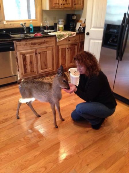 morning picdump 58 pics 2.html - 58 HD Photos | Premium Gallery 2014