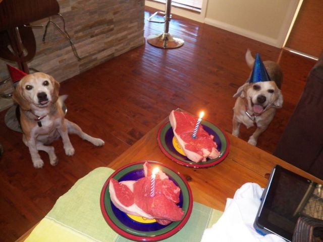 morning picdump 55 pics 28.html - 55 HD Photos | Premium Gallery 2014