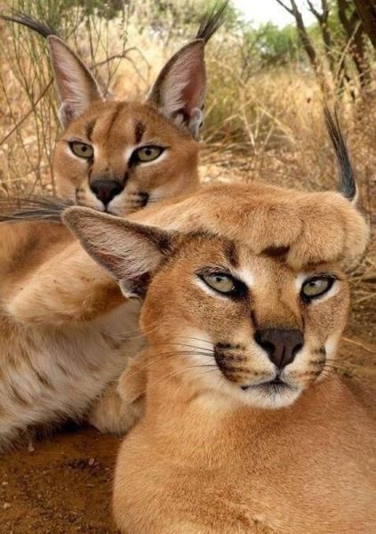 morning picdump 55 pics 28.html - 55 HD Photos | Premium Gallery 2014