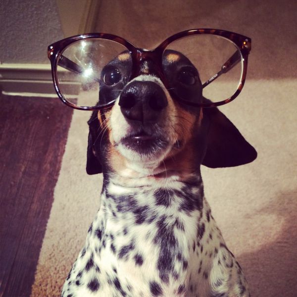 morning picdump 55 pics 28.html - 55 HD Photos | Premium Gallery 2014