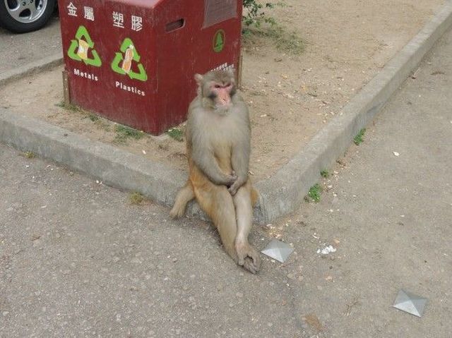 morning picdump 53 pics 9.html - 53 HD Photos | Premium Gallery 2014