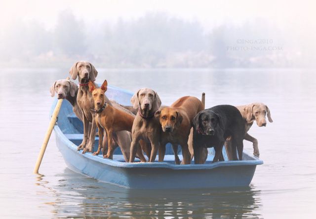 morning picdump 53 pics 9.html - 53 HD Photos | Premium Gallery 2014