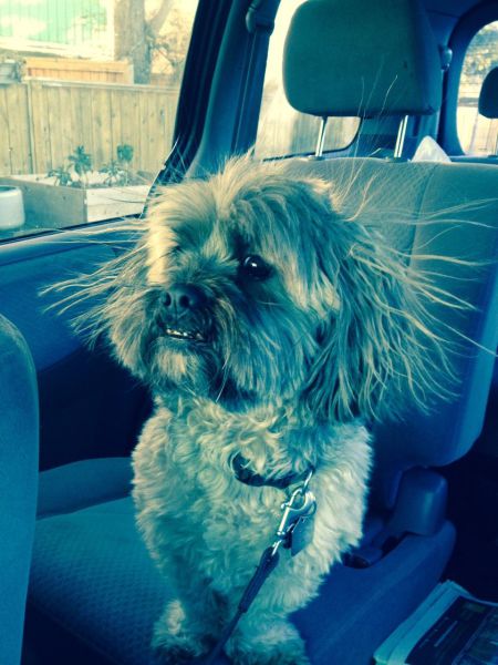 morning picdump 53 pics 9.html - 53 HD Photos | Premium Gallery 2014