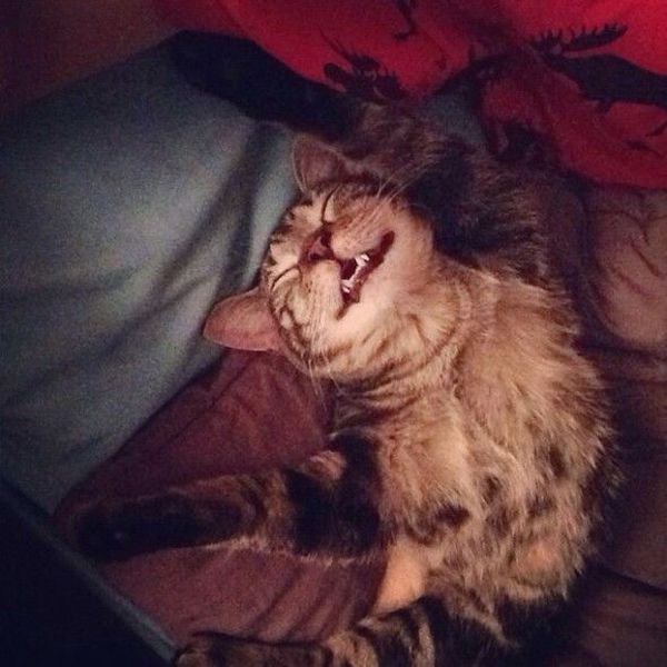 morning picdump 53 pics 9.html - 53 HD Photos | Premium Gallery 2014