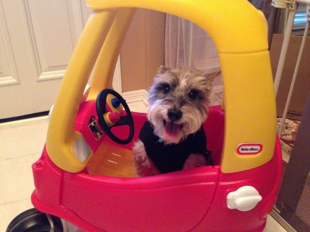 morning picdump 53 pics 9.html - 53 HD Photos | Premium Gallery 2014