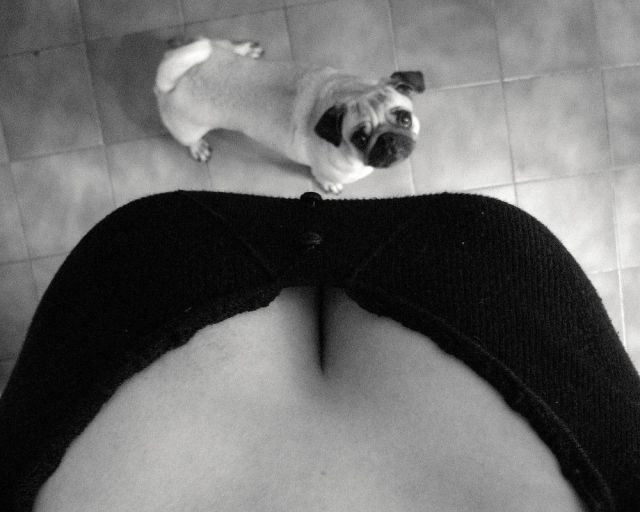 grownup corner 53 pics 5 gifs 23.html - 53 HD GIF | Premium Gallery 2014