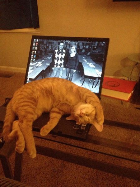 morning picdump 56 pics 8.html - 56 HD Photos | Premium Gallery 2014