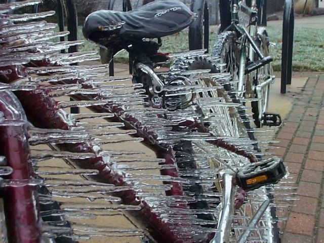 morning picdump 56 pics 8.html - 56 HD Photos | Premium Gallery 2014