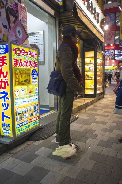 morning picdump 56 pics 8.html - 56 HD Photos | Premium Gallery 2014