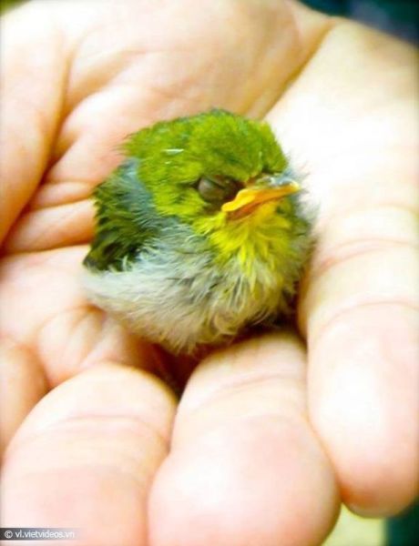 morning picdump 56 pics 8.html - 56 HD Photos | Premium Gallery 2014