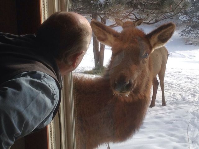 morning picdump 56 pics 8.html - 56 HD Photos | Premium Gallery 2014