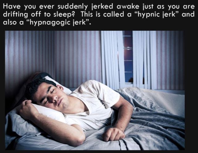 Silly Facts That Are Pretty Interesting