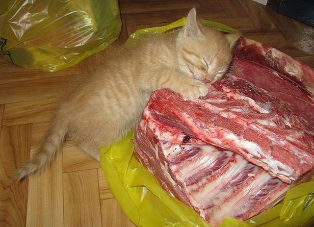 page,3,top 500 morning pics of the year 2014.html - 1 HD Photos | Premium Gallery 2014