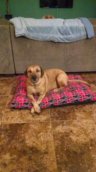 morning picdump 53 pics 1.html - 53 HD Photos | Premium Gallery 2014