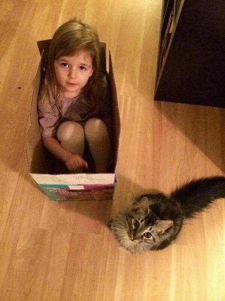 morning picdump 53 pics 1.html - 53 HD Photos | Premium Gallery 2014