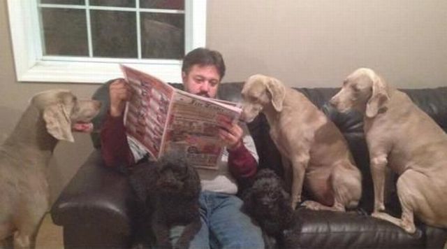 morning picdump 53 pics 1.html - 53 HD Photos | Premium Gallery 2014