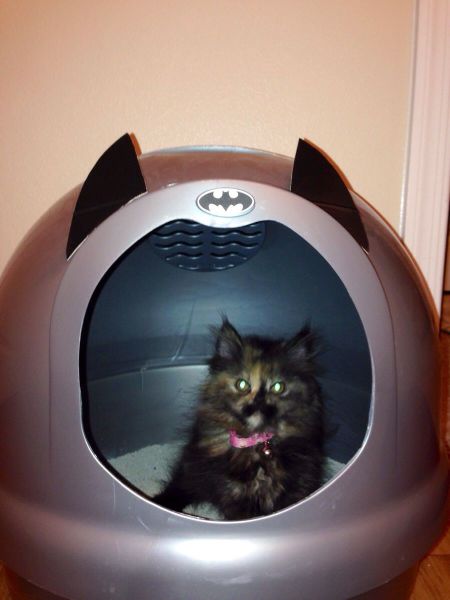 morning picdump 53 pics 1.html - 53 HD Photos | Premium Gallery 2014