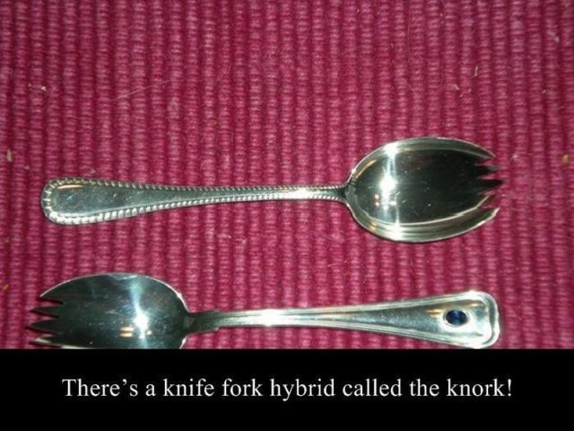 morning picdump 53 pics 1.html - 53 HD Photos | Premium Gallery 2014