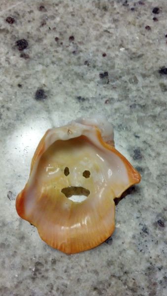 morning picdump 53 pics 1.html - 53 HD Photos | Premium Gallery 2014