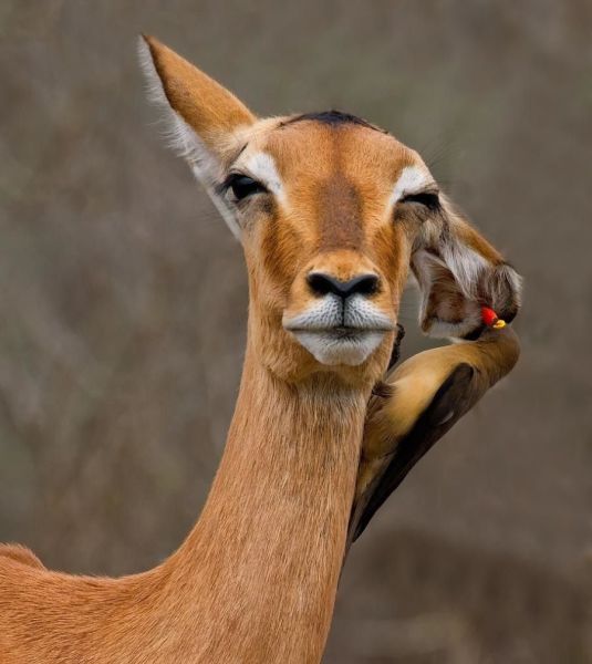 morning picdump 55 pics 44.html - 55 HD Photos | Premium Gallery 2014