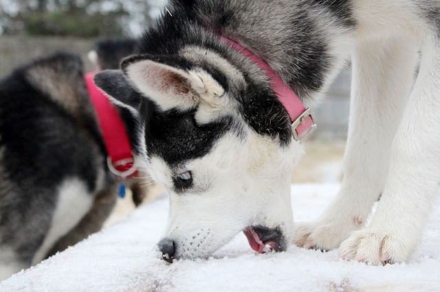 morning picdump 55 pics 44.html - 55 HD Photos | Premium Gallery 2014