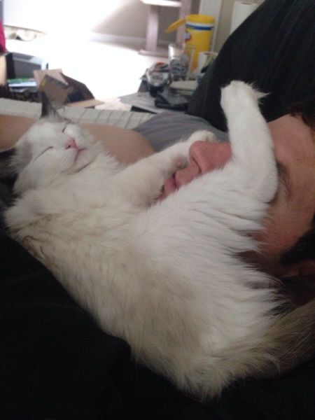 morning picdump 55 pics 44.html - 55 HD Photos | Premium Gallery 2014