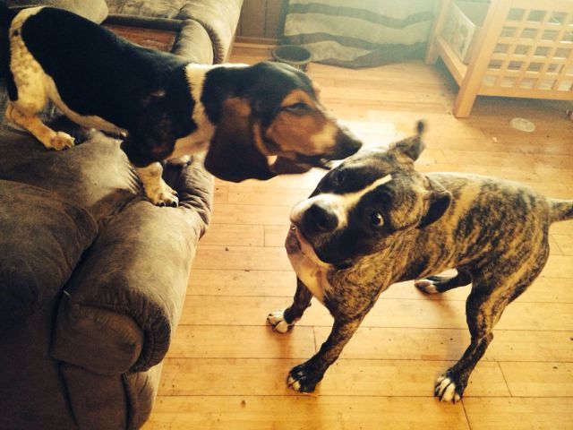 morning picdump 55 pics 44.html - 55 HD Photos | Premium Gallery 2014