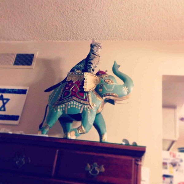 morning picdump 55 pics 44.html - 55 HD Photos | Premium Gallery 2014