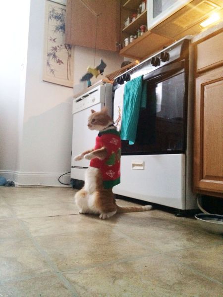 morning picdump 55 pics 44.html - 55 HD Photos | Premium Gallery 2014