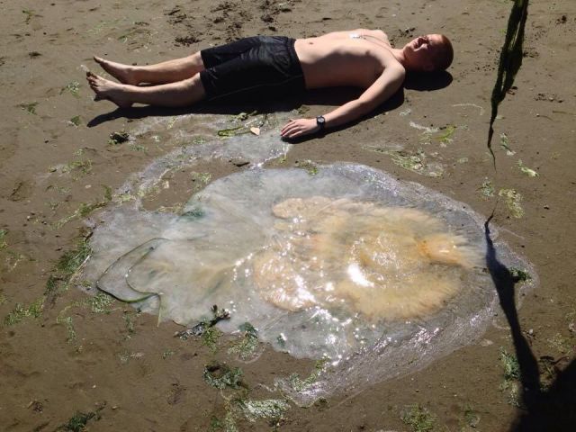 morning picdump 55 pics 44.html - 55 HD Photos | Premium Gallery 2014