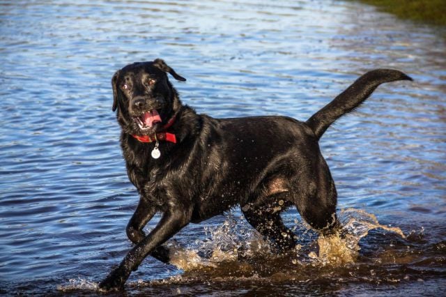 morning picdump 57 pics 2.html - 57 HD Photos | Premium Gallery 2014