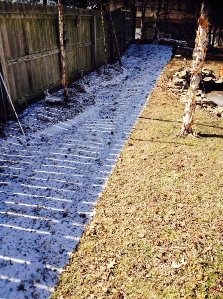 morning picdump 57 pics 2.html - 57 HD Photos | Premium Gallery 2014