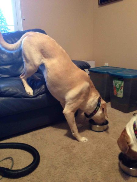 morning picdump 57 pics 2.html - 57 HD Photos | Premium Gallery 2014