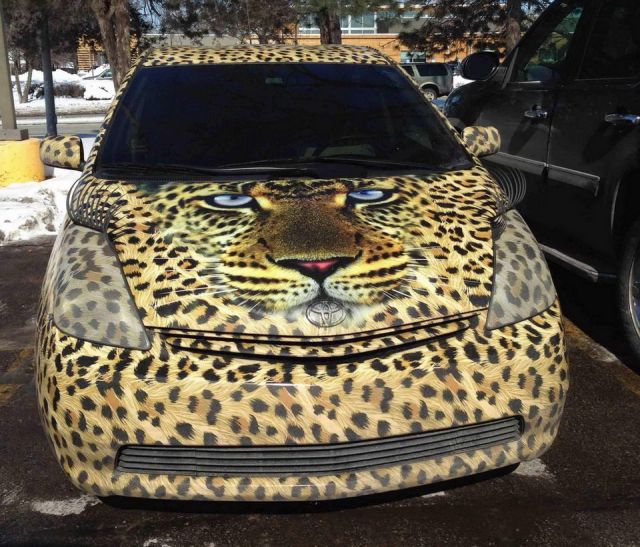 morning picdump 57 pics 2.html - 57 HD Photos | Premium Gallery 2014