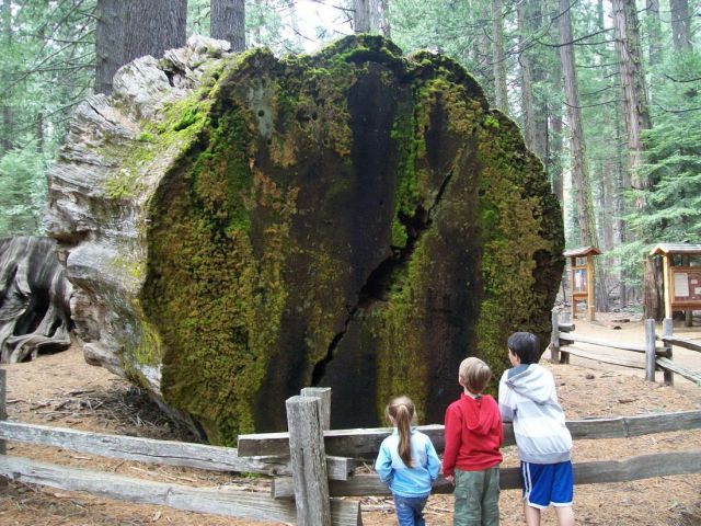 morning picdump 57 pics 2.html - 57 HD Photos | Premium Gallery 2014