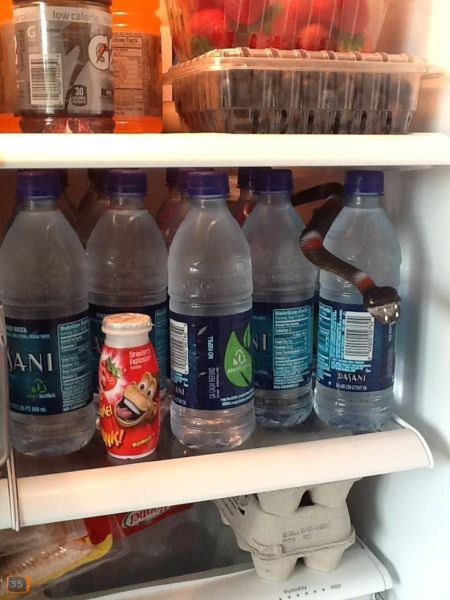 morning picdump 53 pics 21.html - 53 HD Photos | Premium Gallery 2014