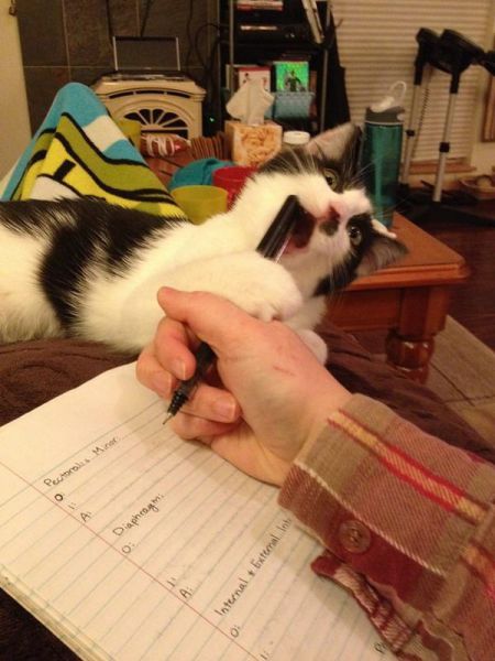 morning picdump 53 pics 21.html - 53 HD Photos | Premium Gallery 2014