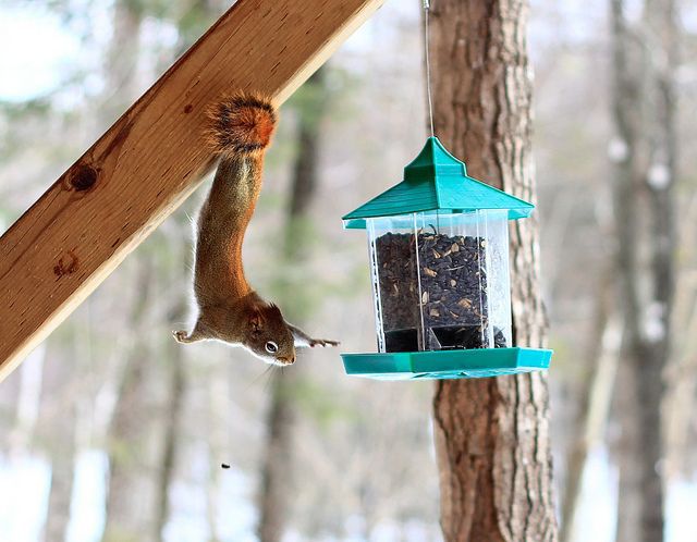 morning picdump 55 pics 54.html - 55 HD Photos | Premium Gallery 2014