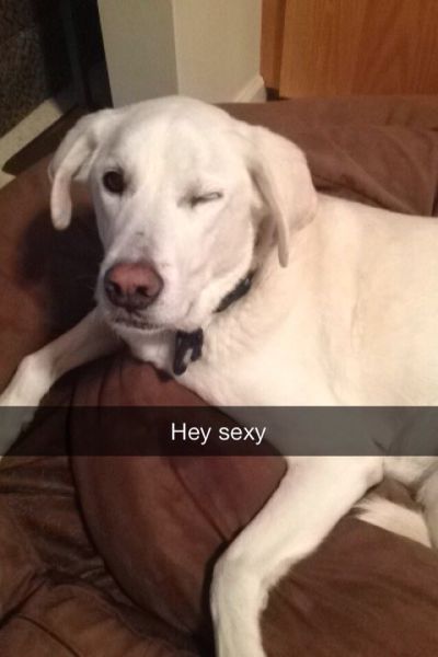 morning picdump 55 pics 54.html - 55 HD Photos | Premium Gallery 2014