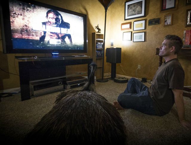 morning picdump 55 pics 54.html - 55 HD Photos | Premium Gallery 2014